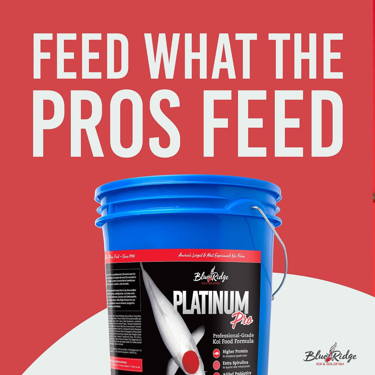 Blue Ridge Koi Platinum Pro 41% Protein Fish Food, 3/16" Pellets, 14 lb