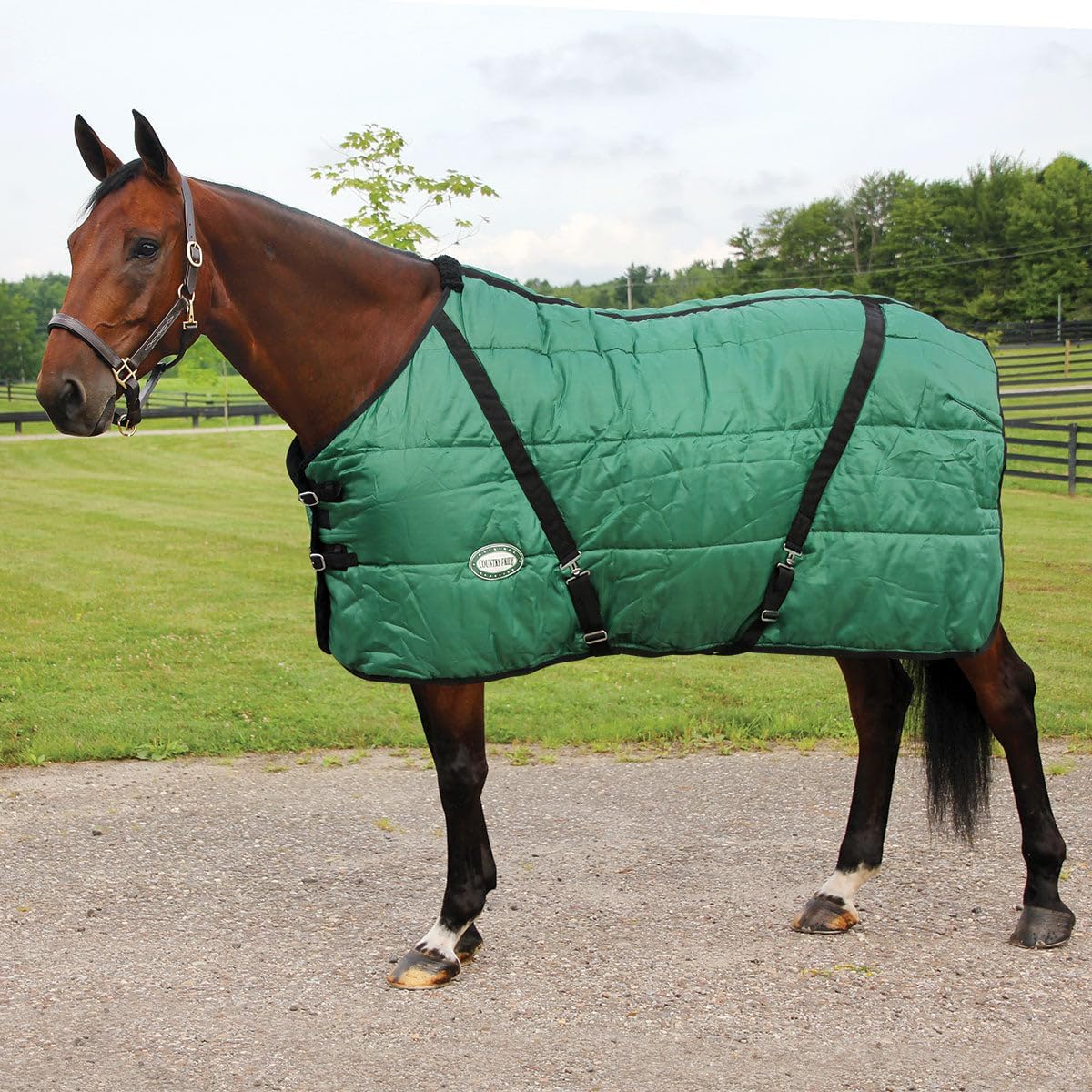 Sentinel Channel Quilt Horse Stable Blanket, Midweight Open Front, 420D Nylon Outer Shell, 250g Poly-Fill Insulation