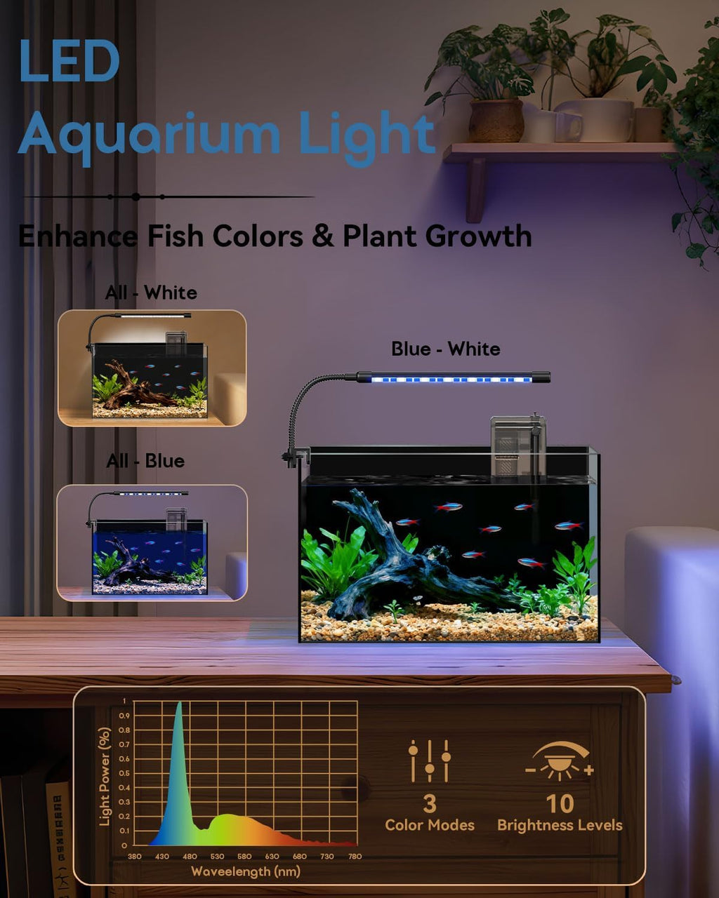 5 Gallon Glass Aquarium Starter Kit, Rimless Fish Tank
