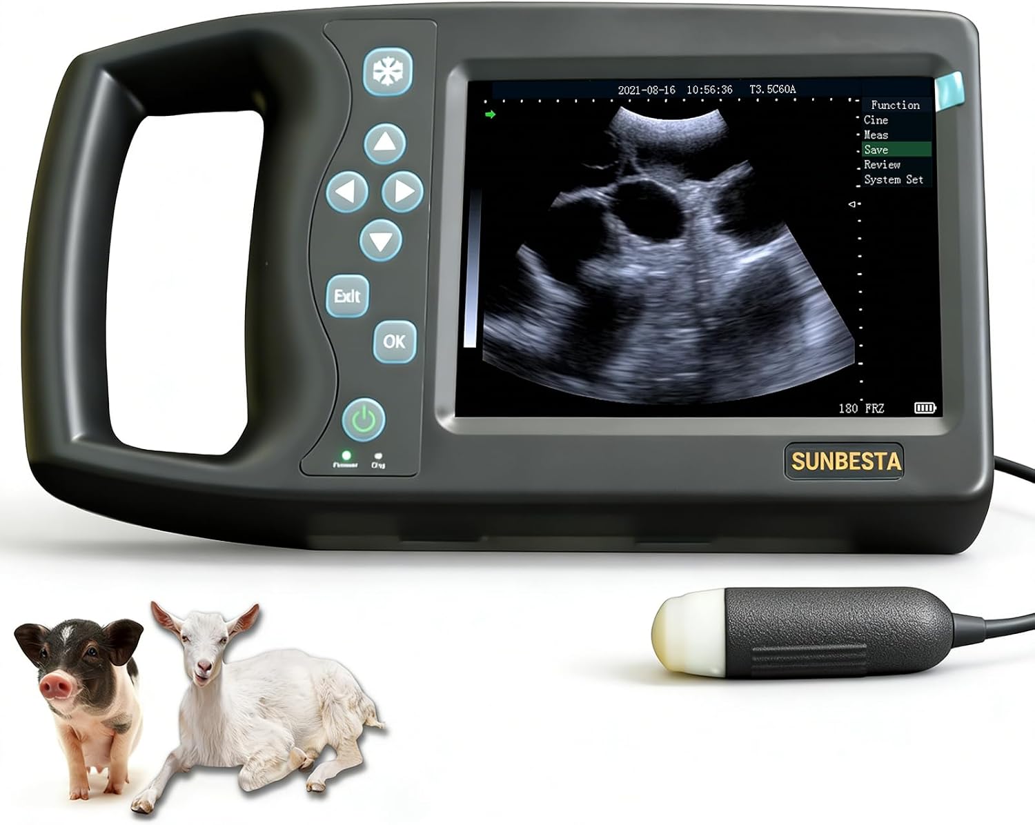 A8 Portable Veterinary Ultrasound Machine for Pregnancy Check,5.7” HD