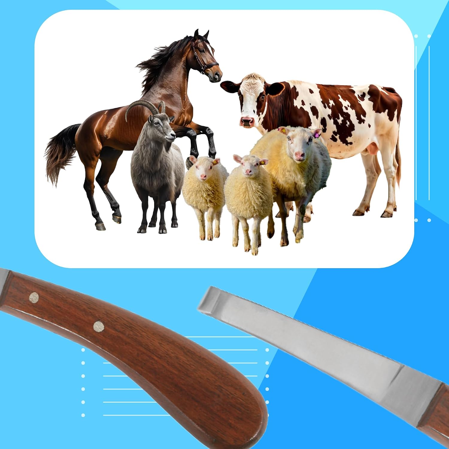 Hoof Knife with Comfortable Wooden Handle - Ergonomic Grip for Horse Farriers and Horse Hoof and Horseshoe Trimming