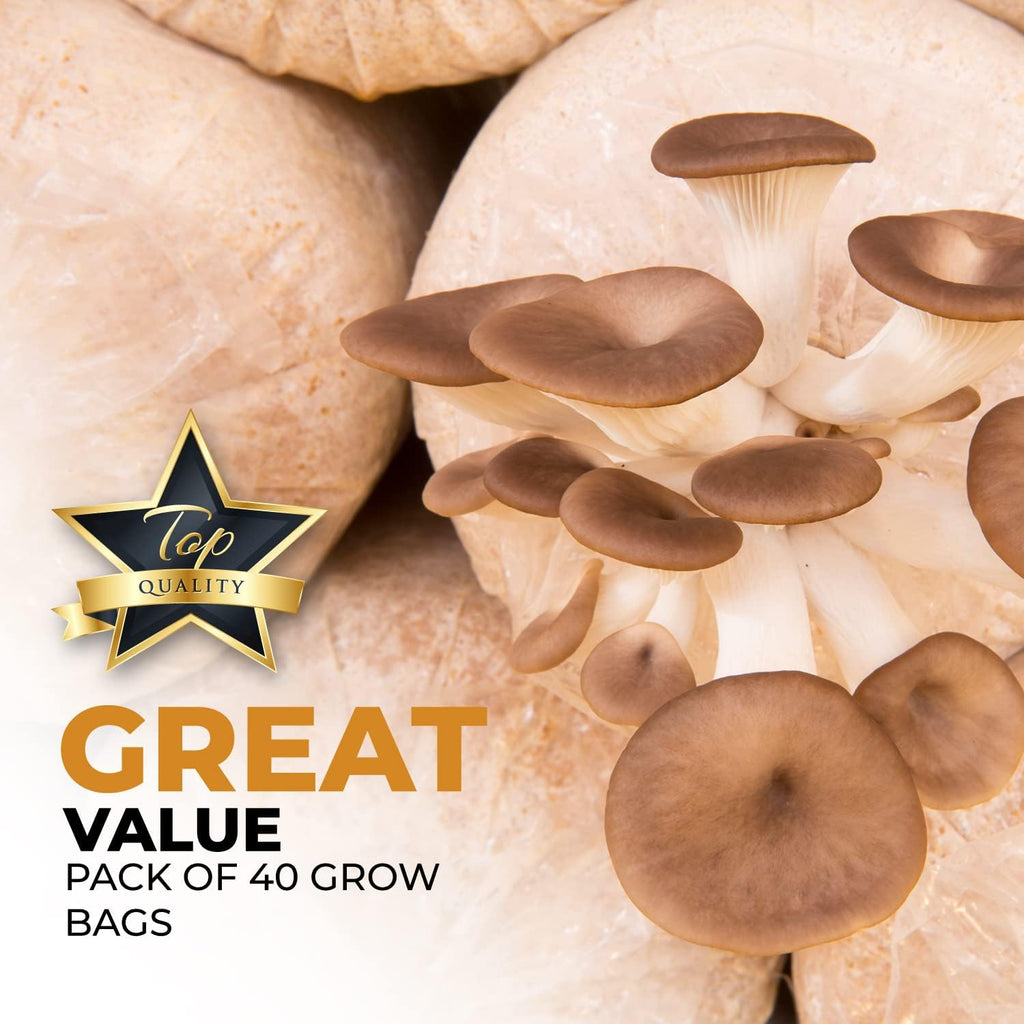 60 Pack, Mushroom Grow and Spawn Bags - Extra Thick Polypropylene Material, Tear Resistant - Size 13" x “4 x “4 with