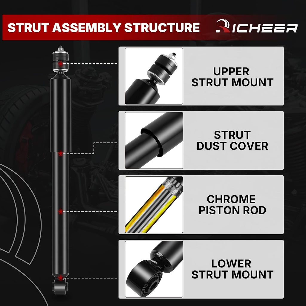 Richeer Front and Rear 4 PCS Strut Shock Assembly Fits 2006-2011 Civic
