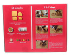 E-Z Build Medium Gingerbread House Kit