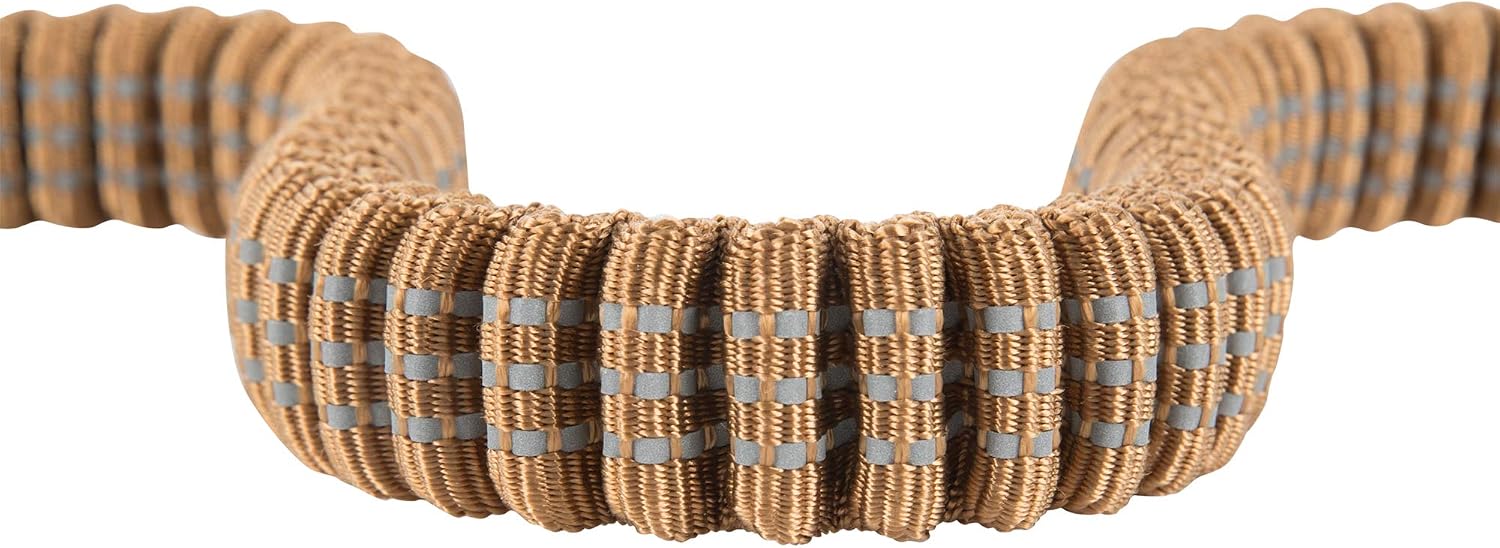 Pet Durable Nylon Webbing Shock Absorbing Leash for Dogs, Reflective Stitching for Visibility, Carhartt Brown (Shock