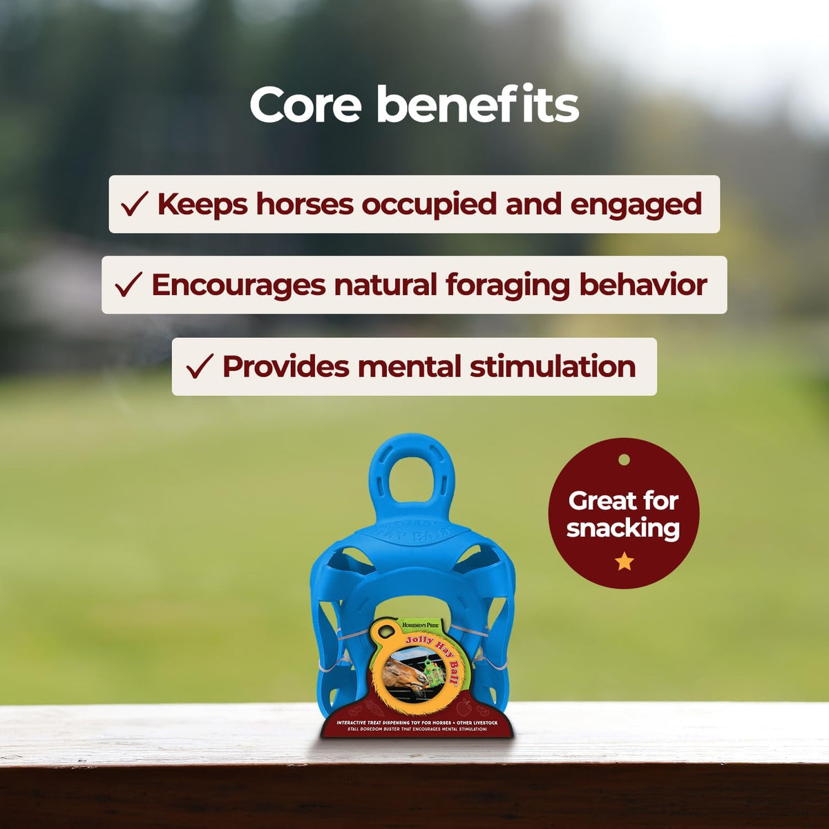 Horsemen's Pride Jolly Hay Ball Stall Toy for Horses, Blue, 8"