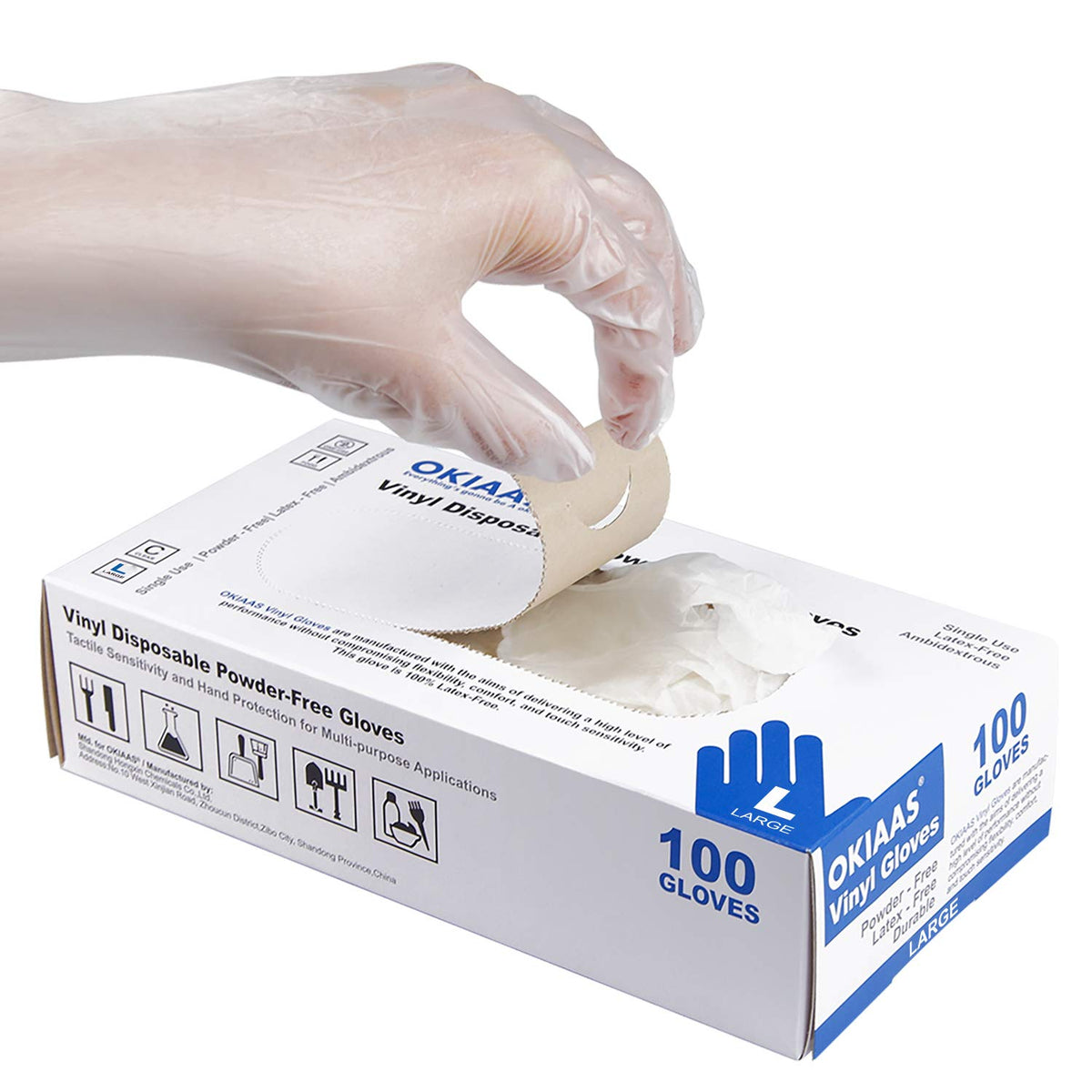 Clear Vinyl Disposable Gloves, Latex-Free, Powder-Free