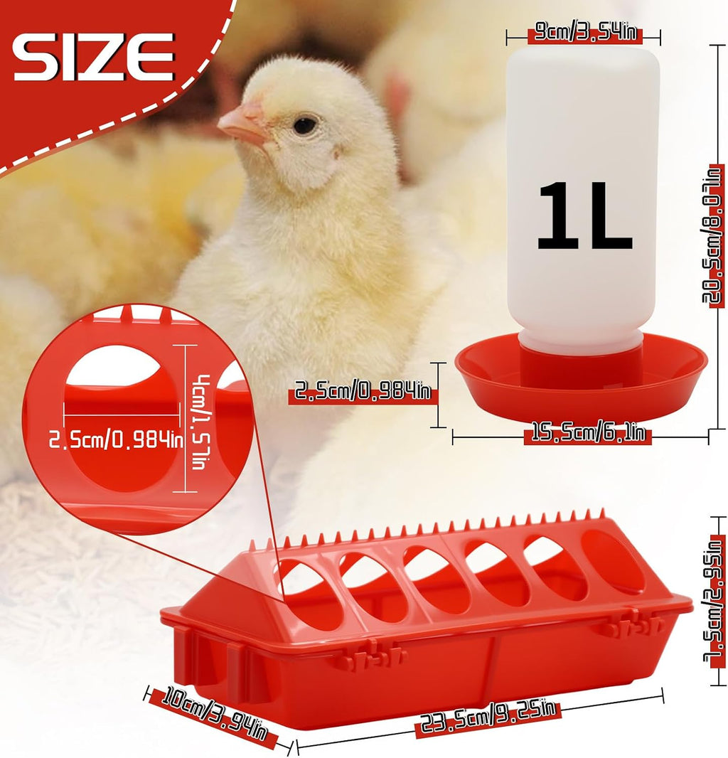 Chicken Feeder and Waterer Kit