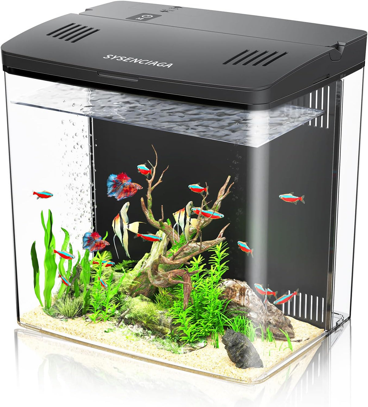 1 Gallon Acrylic Fish Tank Kit for Kids with Filter and 5-Mode Light