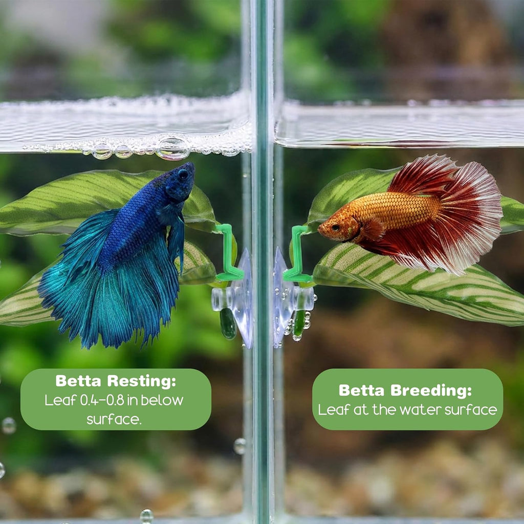 5 Set Betta Hammock for Aquarium, Funny Betta Fish Toys Plastic Bettas Fishes Tank Accessories for Resting Hiding