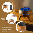 Essential Oil Diffuser 250ML,Jellyfish Diffuser Air Humidifiers Sound Pickup Ultrasonic Aromatherapy Diffuser Remote
