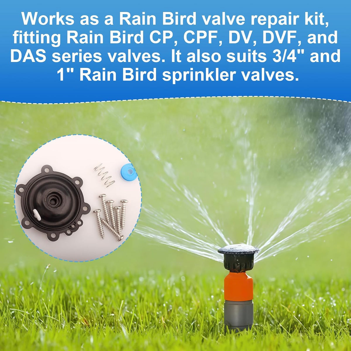 Diaphragm Repair Kit for Rain Bird DRKCP/CPF Valve Diaphragm Replacement