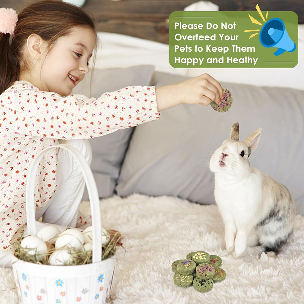 Treats Rabbit Toys, 100% Edible Premium Timothy Hay Chew A Blocks for Rabbits, Chinchilla Treats, Chew Toys for Teeth