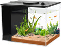 Fish Tank, 1 Gallon Betta Fish Tank, Small Aquarium Kit with LED Light and Water Filter Pump