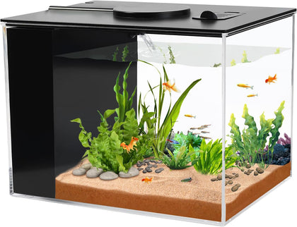Fish Tank, 1 Gallon Betta Fish Tank, Small Aquarium Kit with LED Light and Water Filter Pump