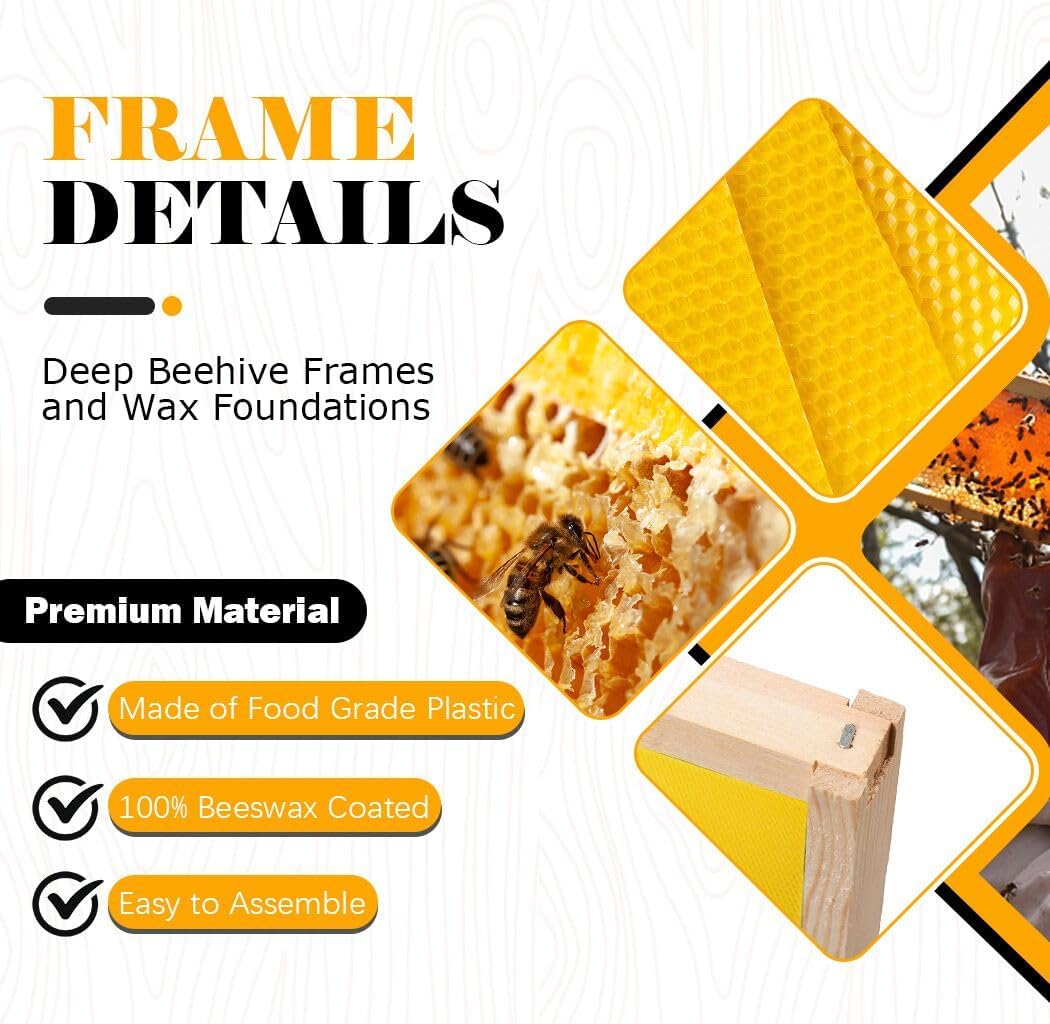 10 Pack Beehive Frames and Wax Foundations for Deep Brood Bee Hives with Honeycombs Wooden Bee Hive Frames and