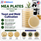 Malt Extract Agar (MEA) Plates, 10 Prepoured Plates