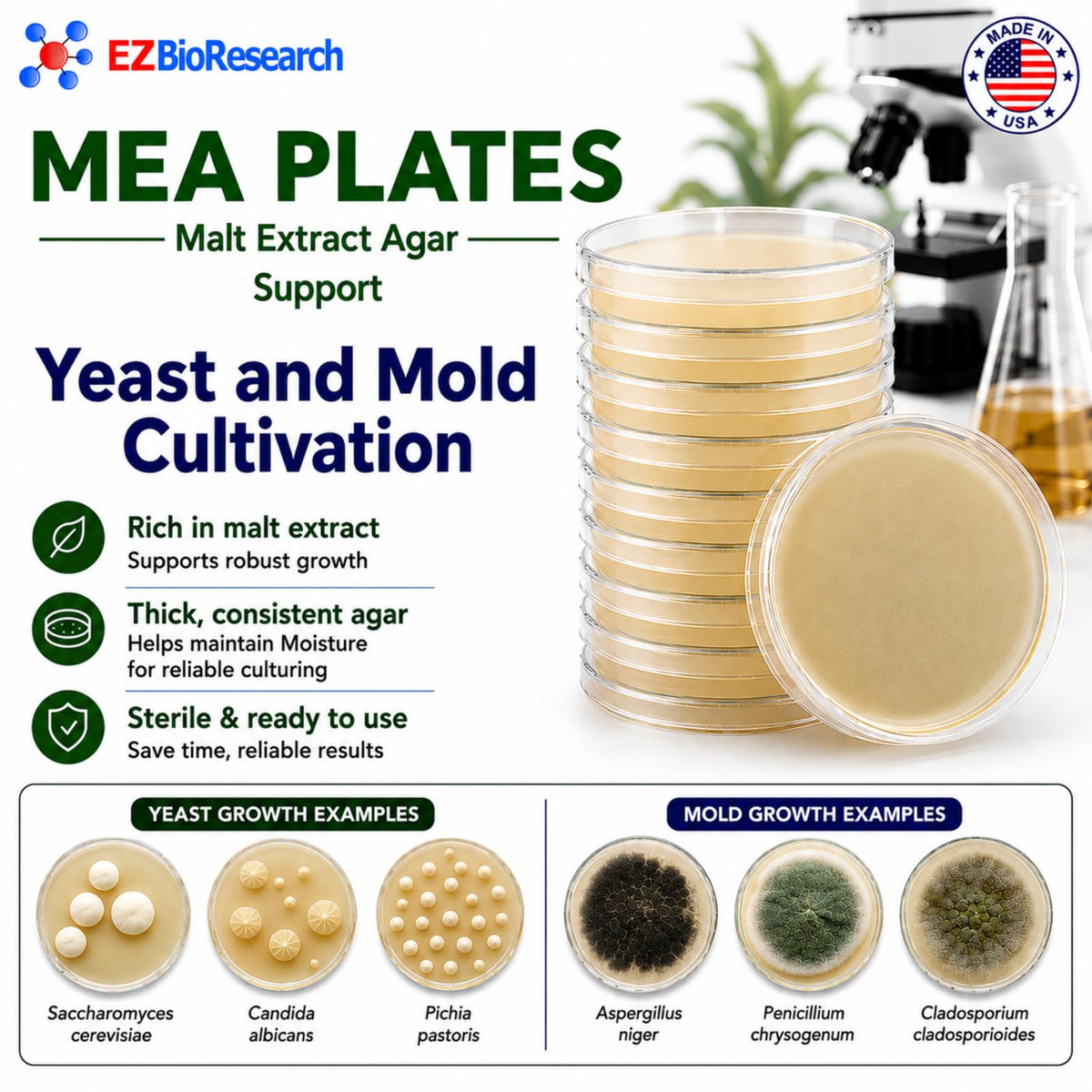 Malt Extract Agar (MEA) Plates, 10 Prepoured Plates