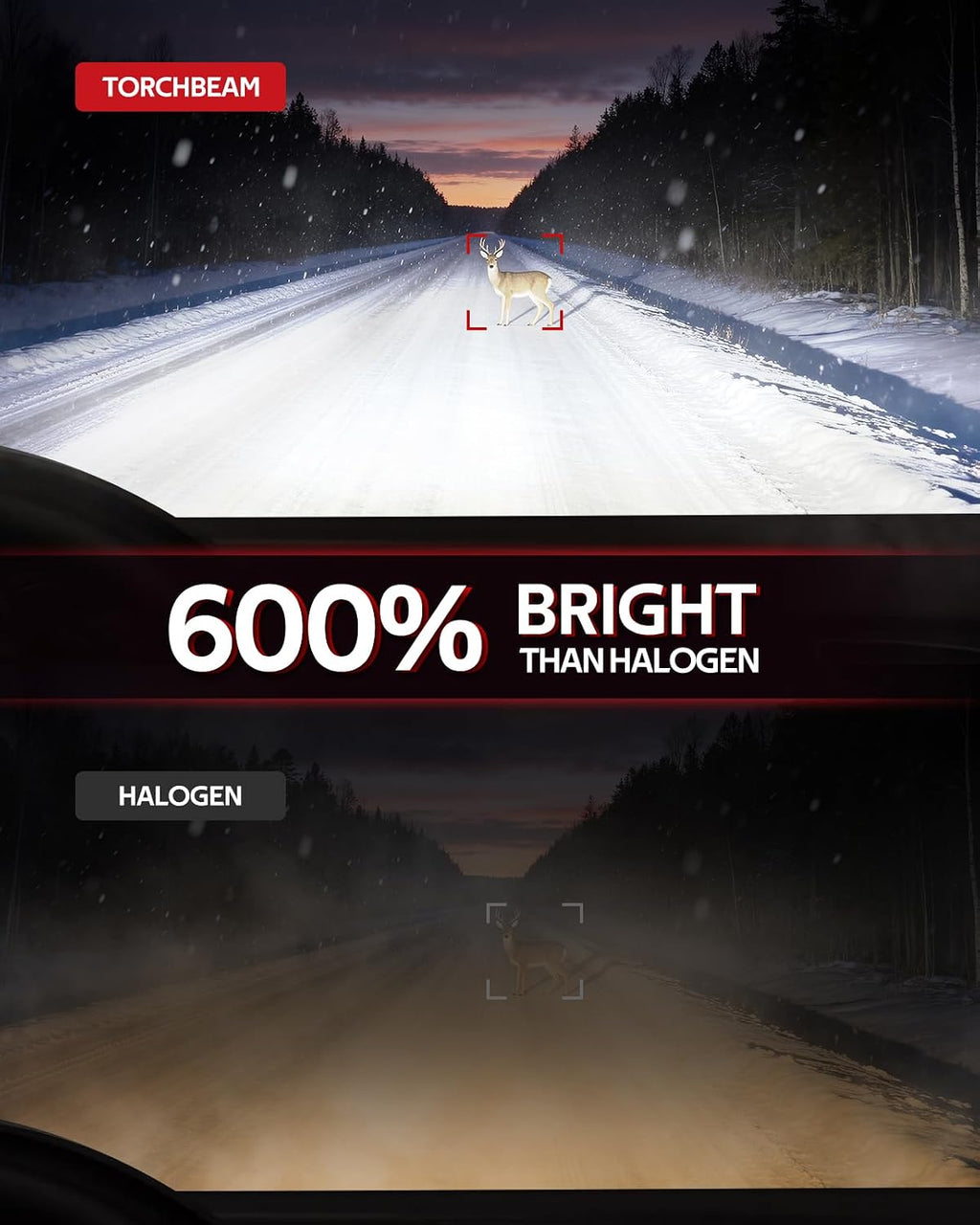 H11/H16/H8 LED Fog Light Bulb, 12000 Lumen Upgrade,600% Brightness H11 LED Fog Lights, 1:1 Replacement For