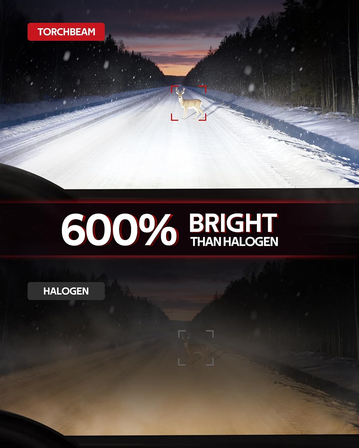 H11/H16/H8 LED Fog Light Bulb, 12000 Lumen Upgrade,600% Brightness H11 LED Fog Lights, 1:1 Replacement For