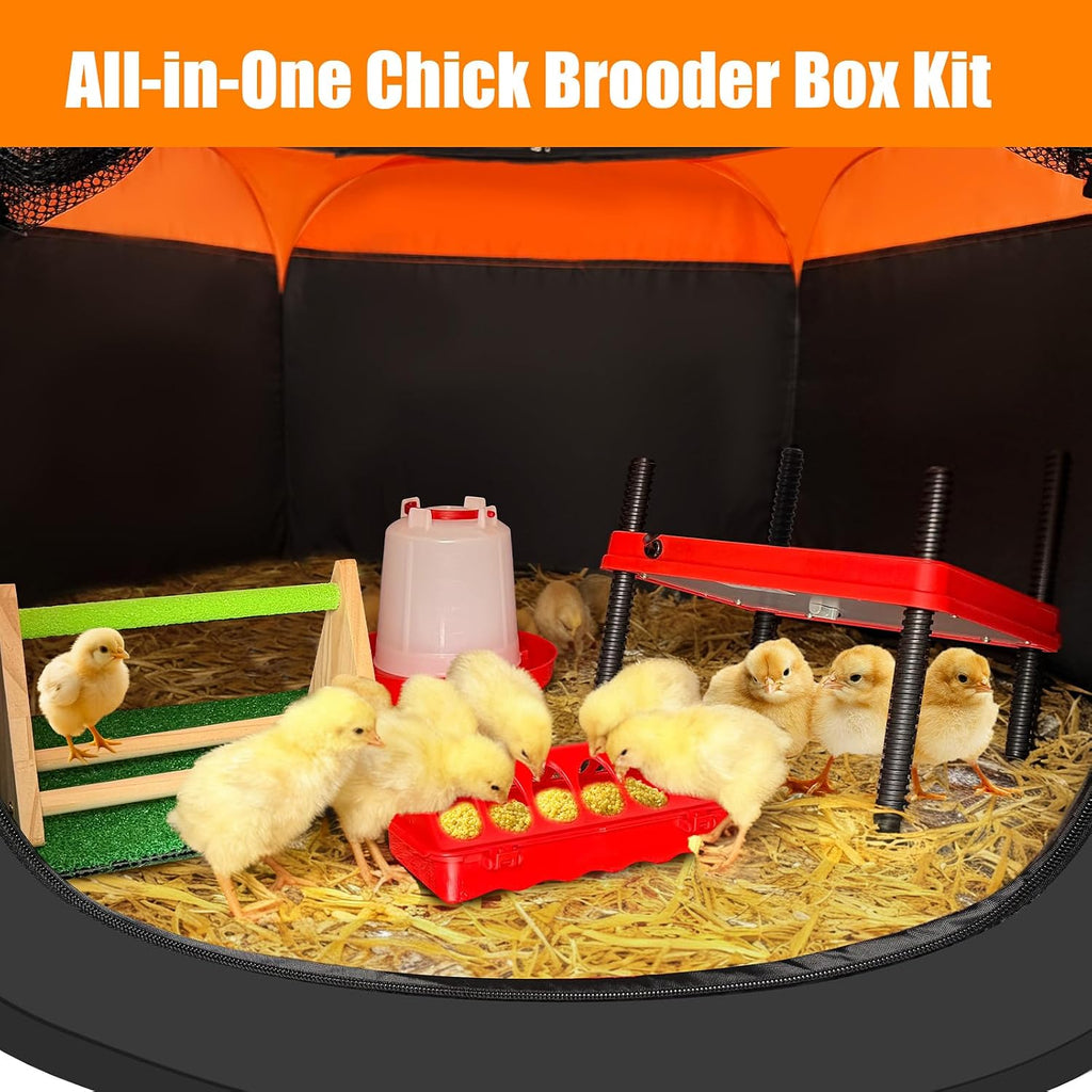 Brooder Box for Chick, Chick Starter Kit with Brooder Heating Plate