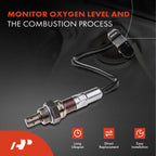 A-Premium Upstream O2 Oxygen Sensor Compatible with Ford, Mazda