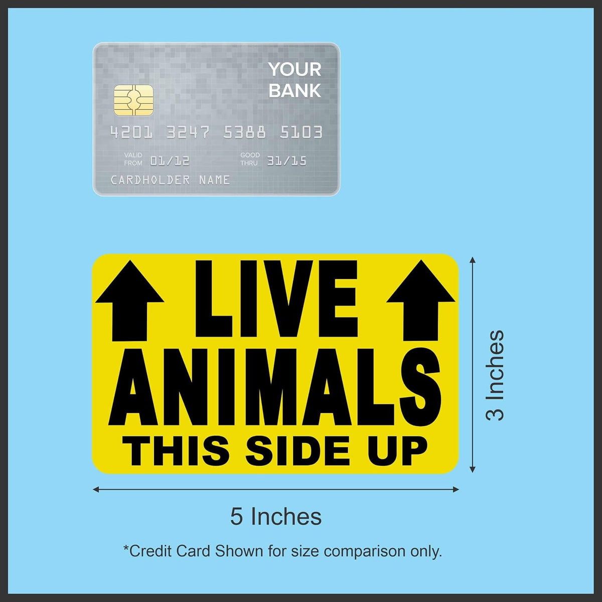 Live Animals This Side Up with Arrows Vinyl Sticker