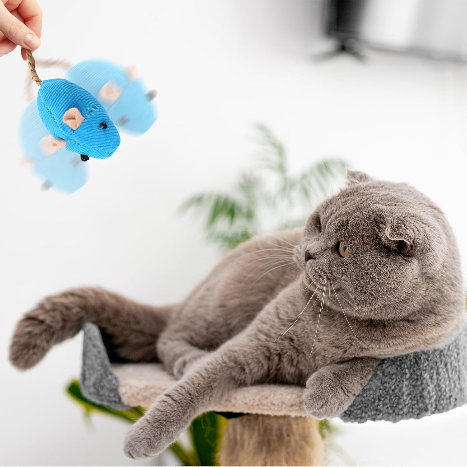 8 Pack Toy Mice for Cats Cat Mice Toys Interactive Toy Cats Mouse Plush Cat Toys Catnip Toy Biting Toys for Cats