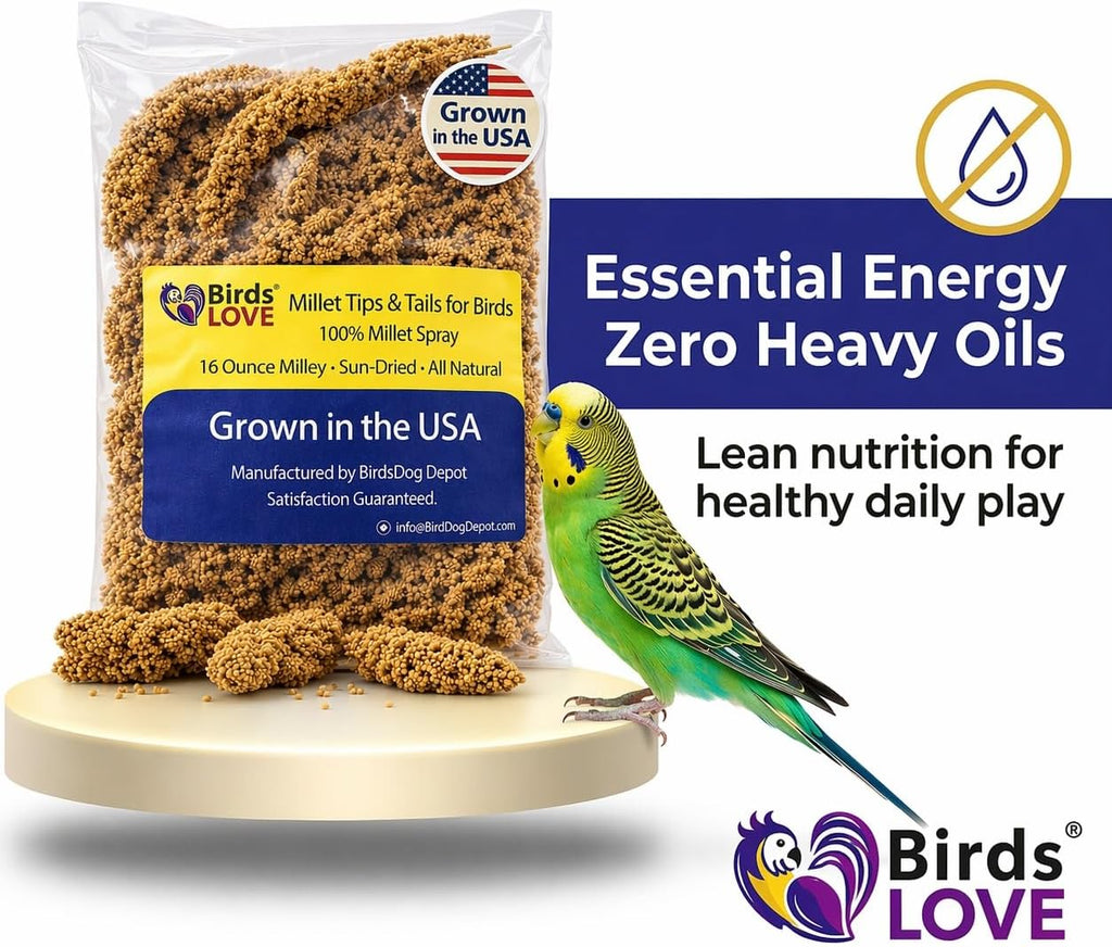 Millet Tips & Tails for Birds – Premium Spray Millet Treat, Grown in the USA – Natural & Healthy Bird Food for