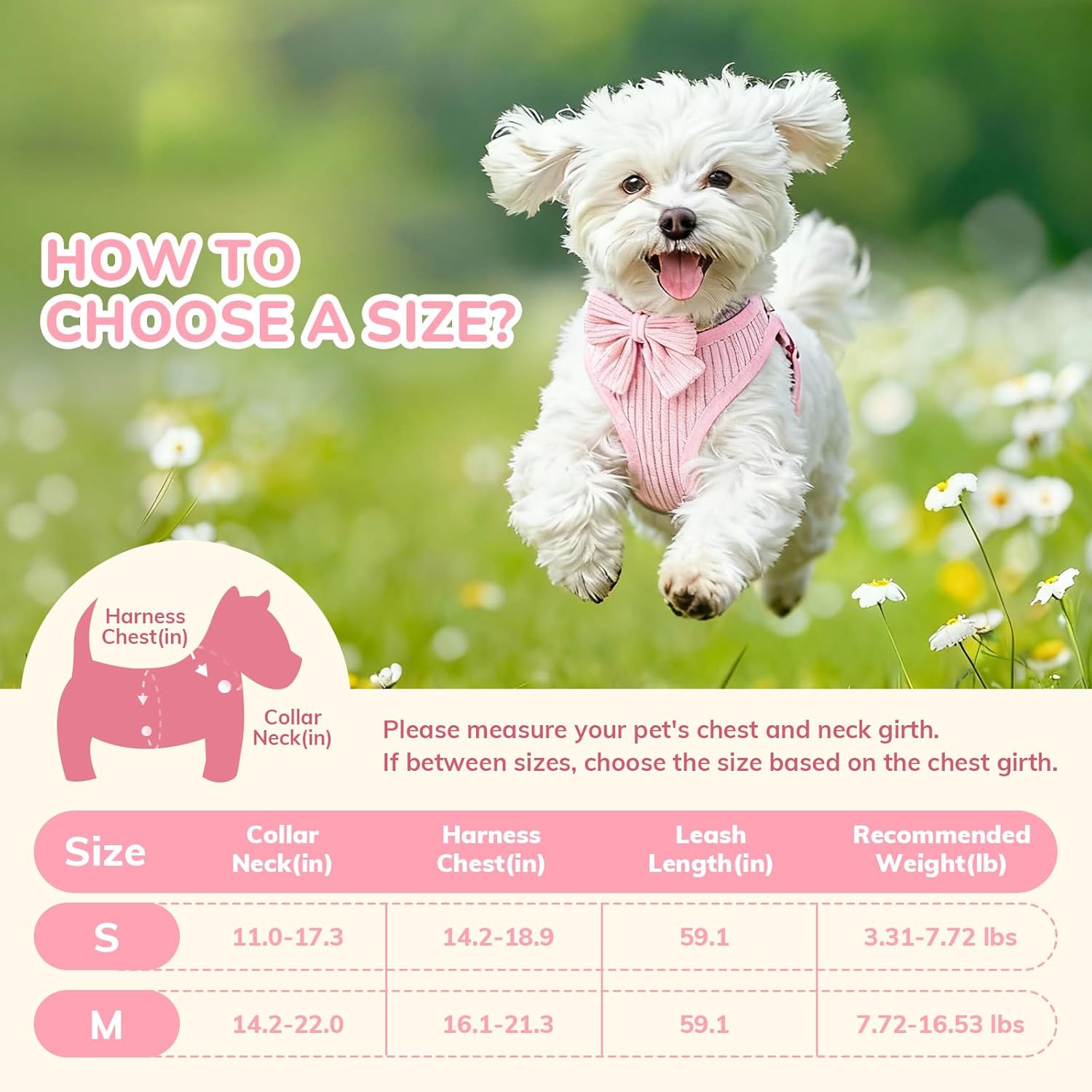 Small Dog Collar Harness and Leash Set, Dog Harness no Pull with Bowtie, Breathable Cotton Adjustable Pet Puppy