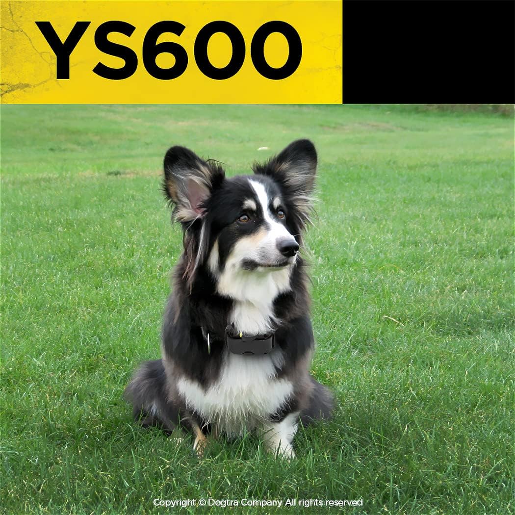 YS600 Anti Bark Collar for Medium to Large Dogs, Adjustable 10 Intensity Levels, Vibration Warning, Low/High