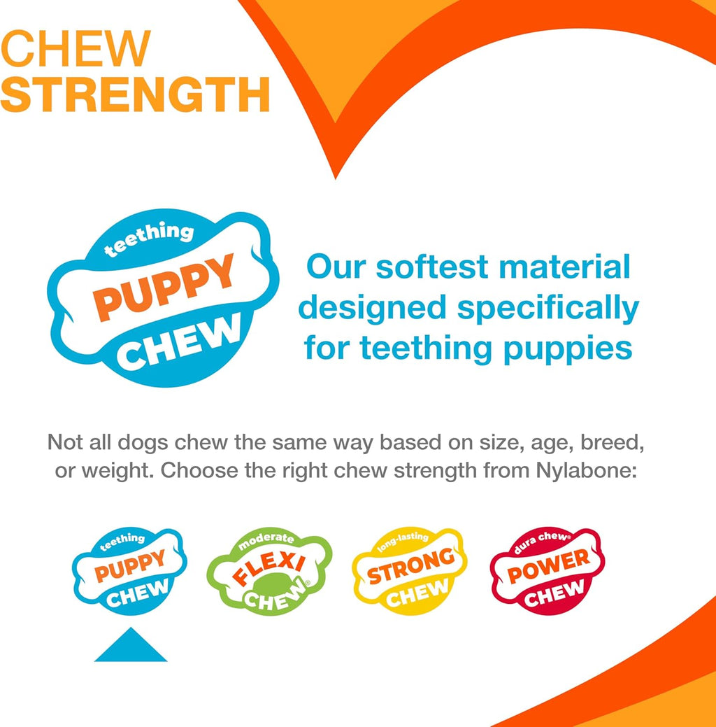 Puppy Chew Toy & Treat Bundle, Small, 6 Count