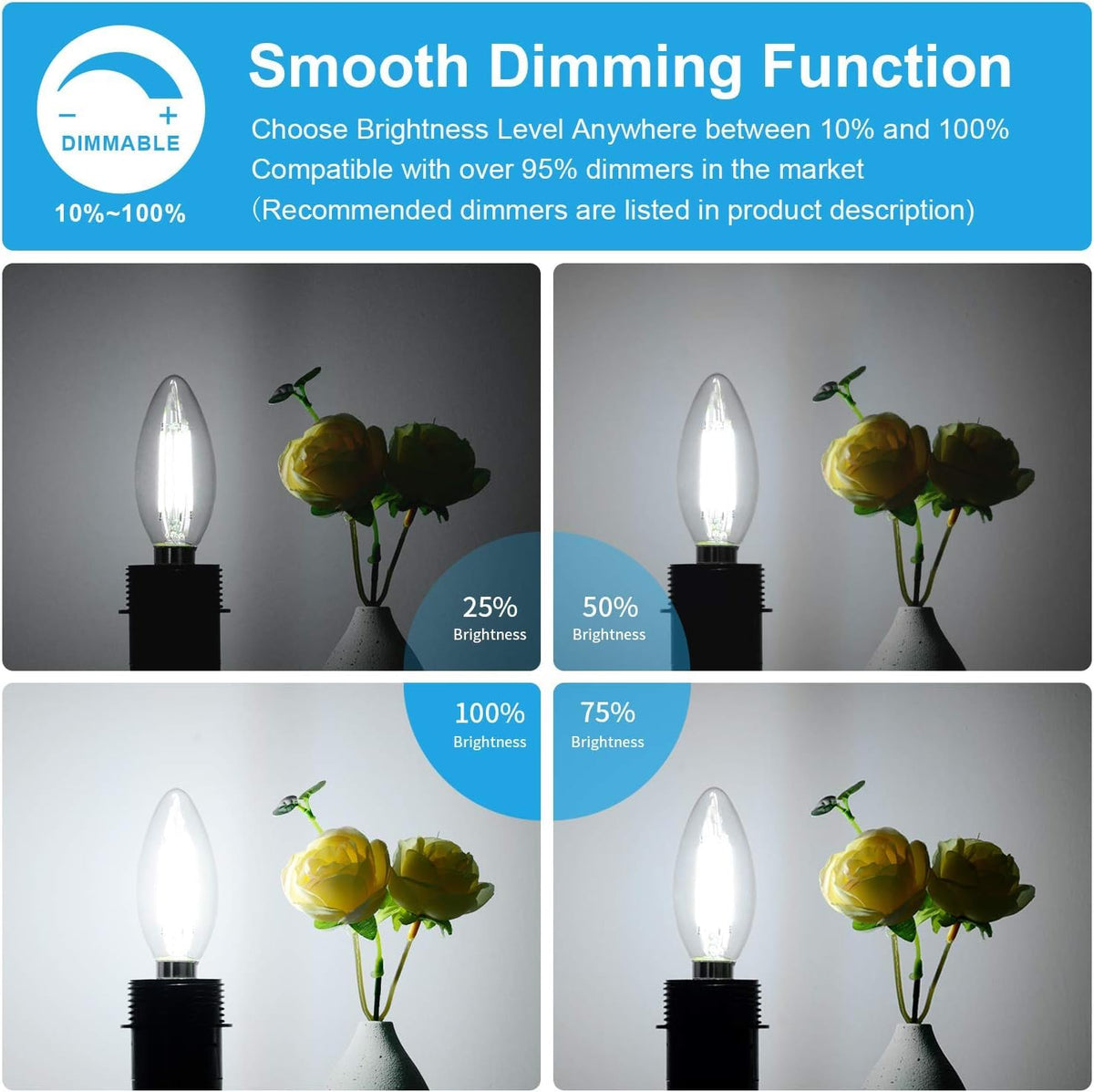 48-Pack Dimmable E12 LED Candelabra Bulbs 60W Equivalent, 5000K