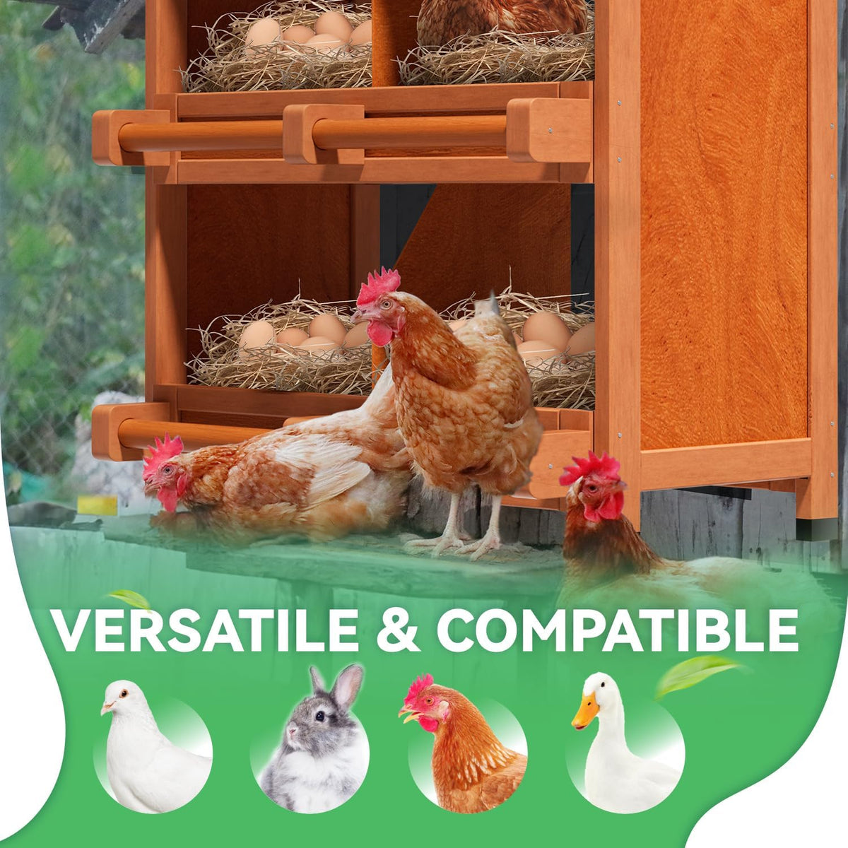 4-Compartment Chicken Nesting Boxes, Spacious for Large Breeds, Premium Pine Wood & Weather-Resistant PVC Sloped