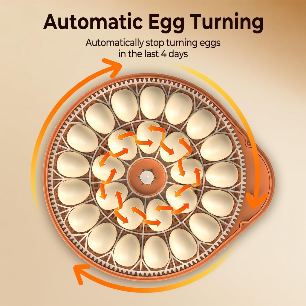 Incubators for Hatching Eggs with Smart Voice Assistant, 26 Eggs Incubator with Automatic Egg Turner and Humidity