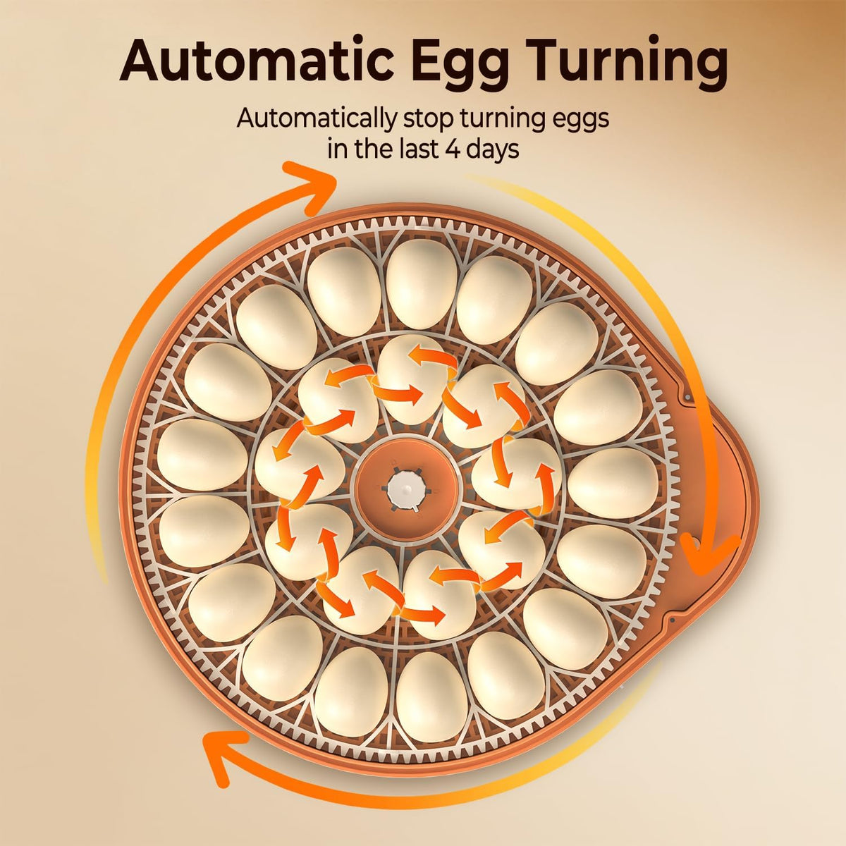 Incubators for Hatching Eggs with Smart Voice Assistant, 26 Eggs Incubator with Automatic Egg Turner and Humidity