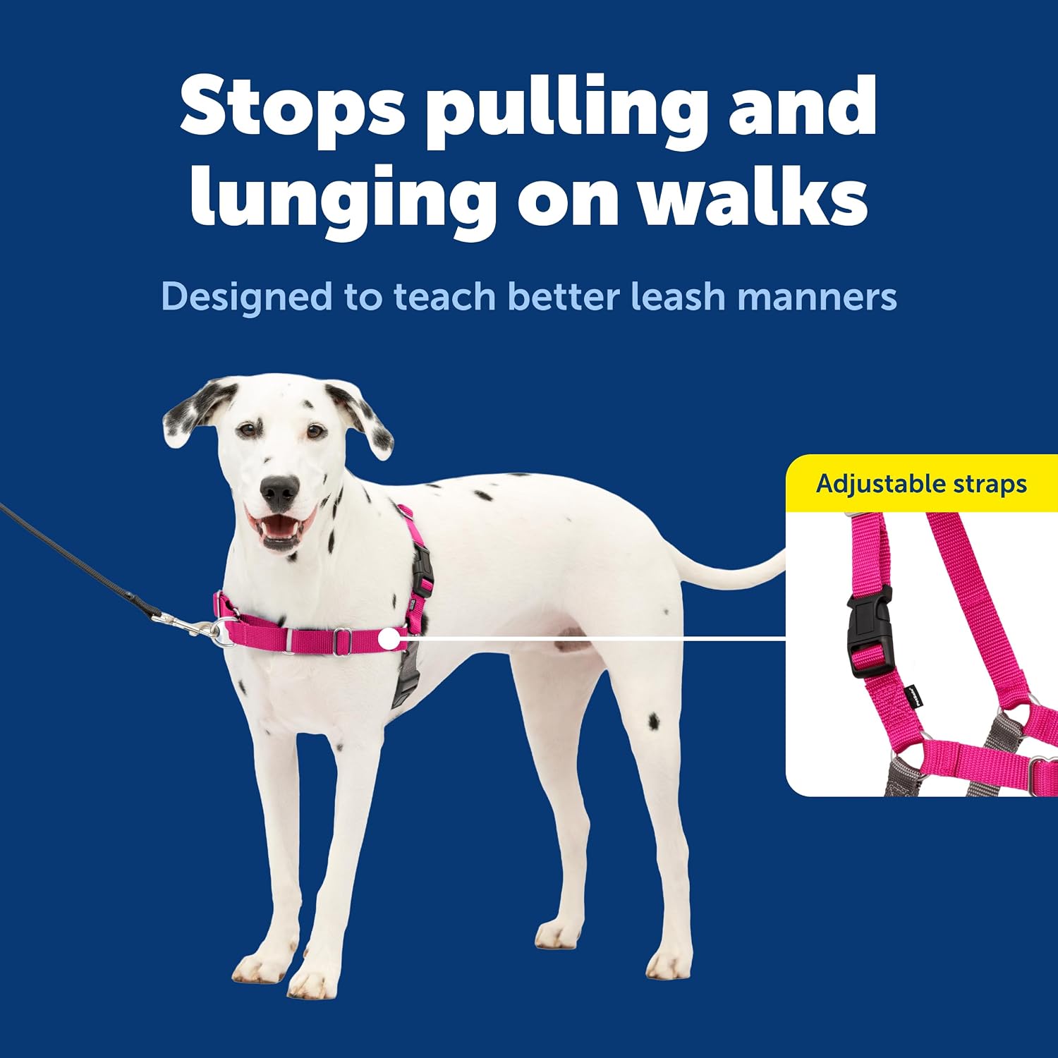 Easy Walk No-Pull Dog Harness - Ultimate Harness to Help Stop Pulling - Pull-Free Walks - Take Control & Teach Better