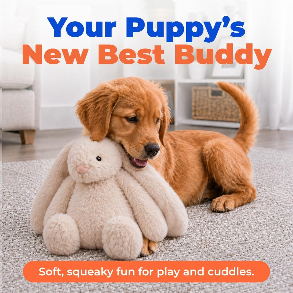 Bunny Buddy Squeaky Plush Dog Toy - Beige, Medium