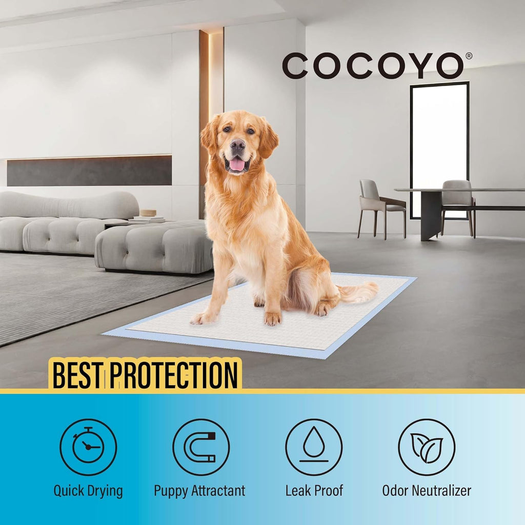 Best Value 22"x22" Dog Training Pads 50 Count | Dog Pee Pads | Super Absorbent Puppy Pads,White