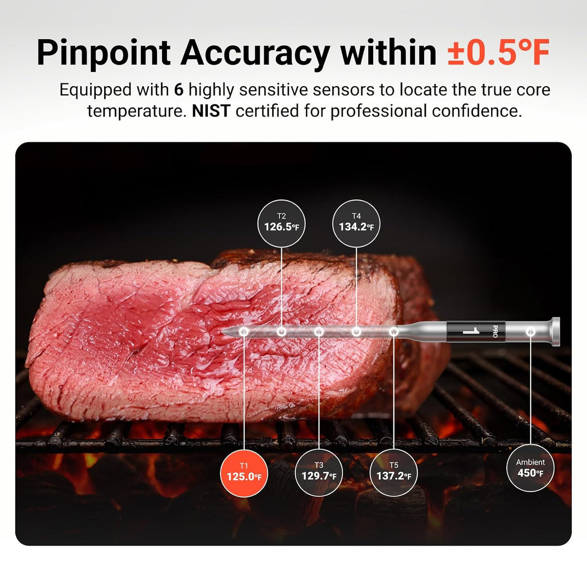 Smart WiFi Wireless Meat Thermometer for Grilling with 2 Probes