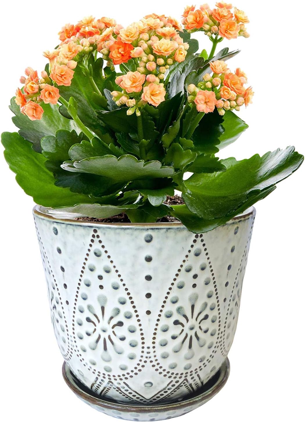 6 Inch Beaded Ceramic Planter Set of 2 with Drainage Hole and Saucer for Plants, Indoor-Outdoor Large Round Succulent