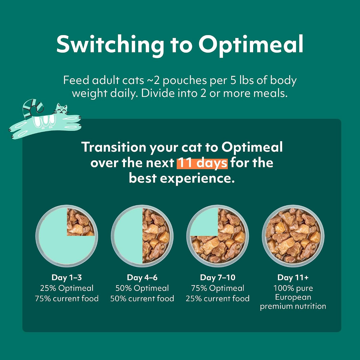 High Protein Wet Cat Food, Chicken and Turkey in Savory Gravy, 12 Pouches