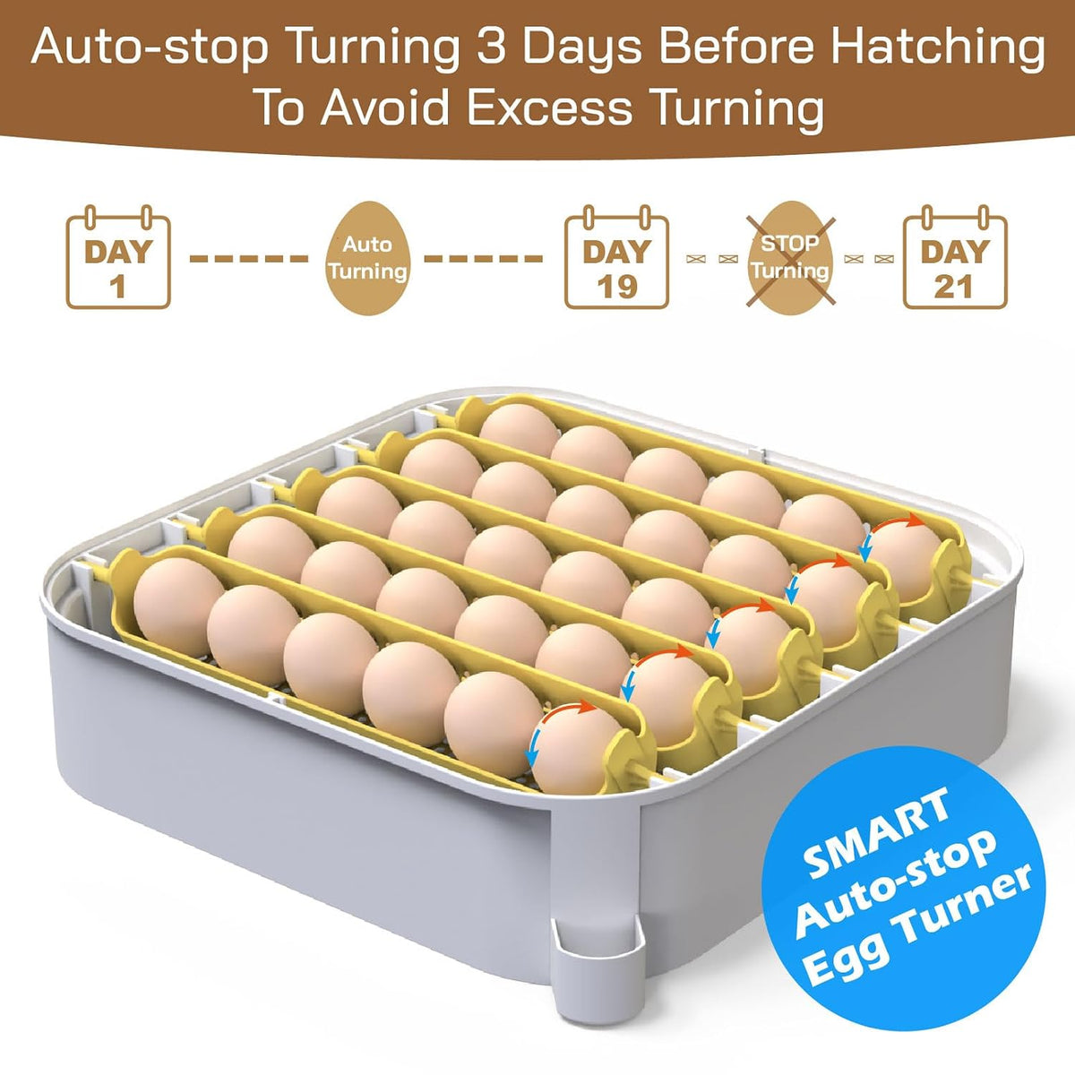 30 Egg Incubator with Humidity Display, Egg Candler, Automatic Egg Turner