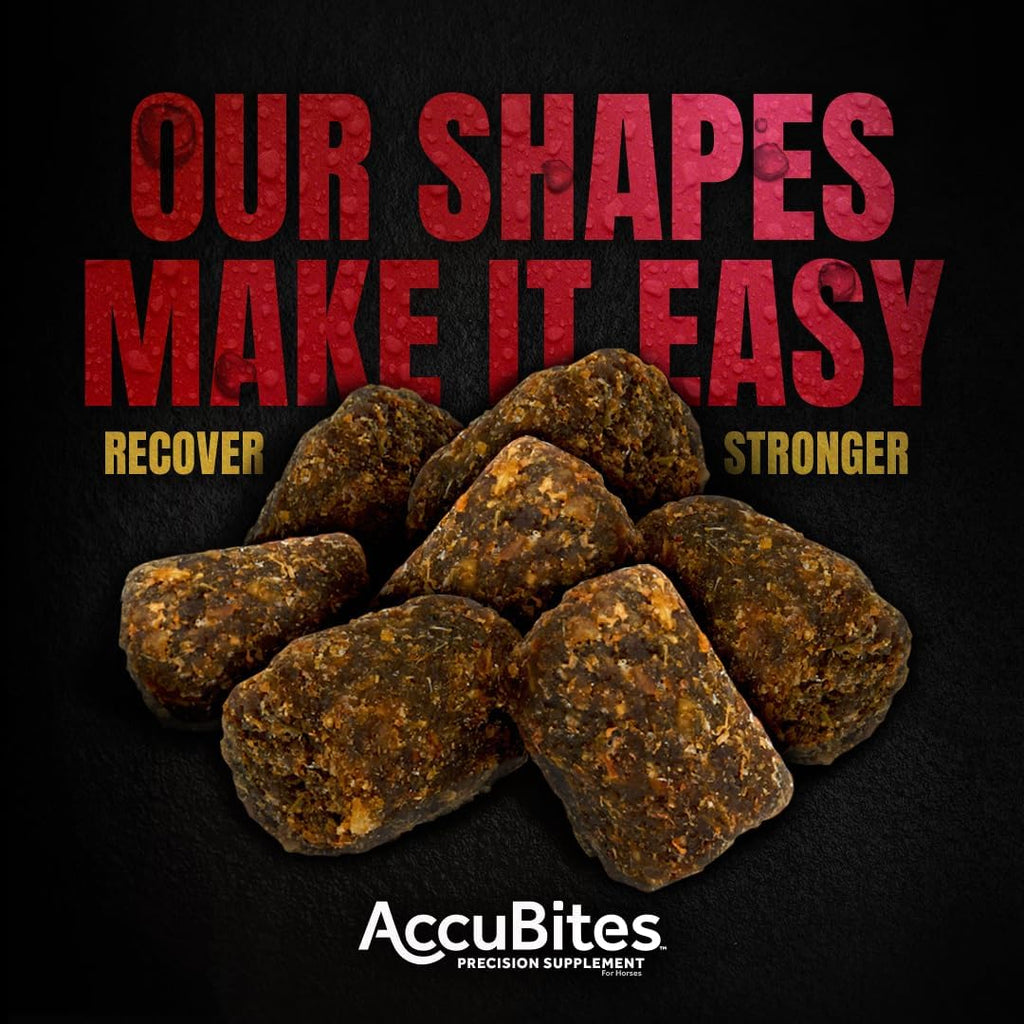 AccuBites Replenish Supplement, Horse Electrolyte Support, 1.6 lb