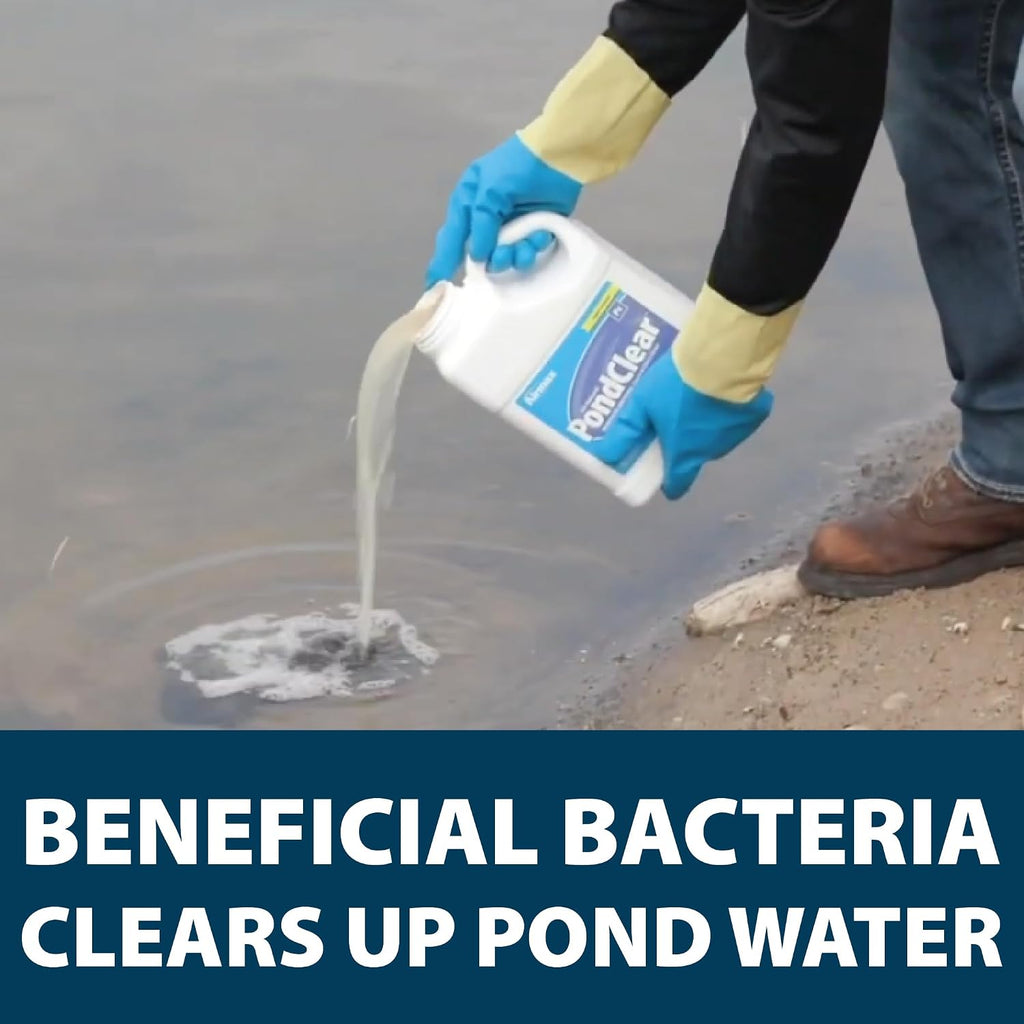 PondClear Liquid Bacteria Water Clarifier for Ponds & Lakes, 1 Gal