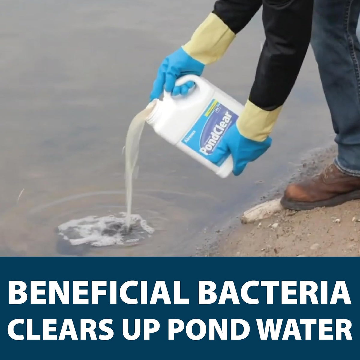 PondClear Liquid Bacteria Water Clarifier for Ponds & Lakes, 1 Gal