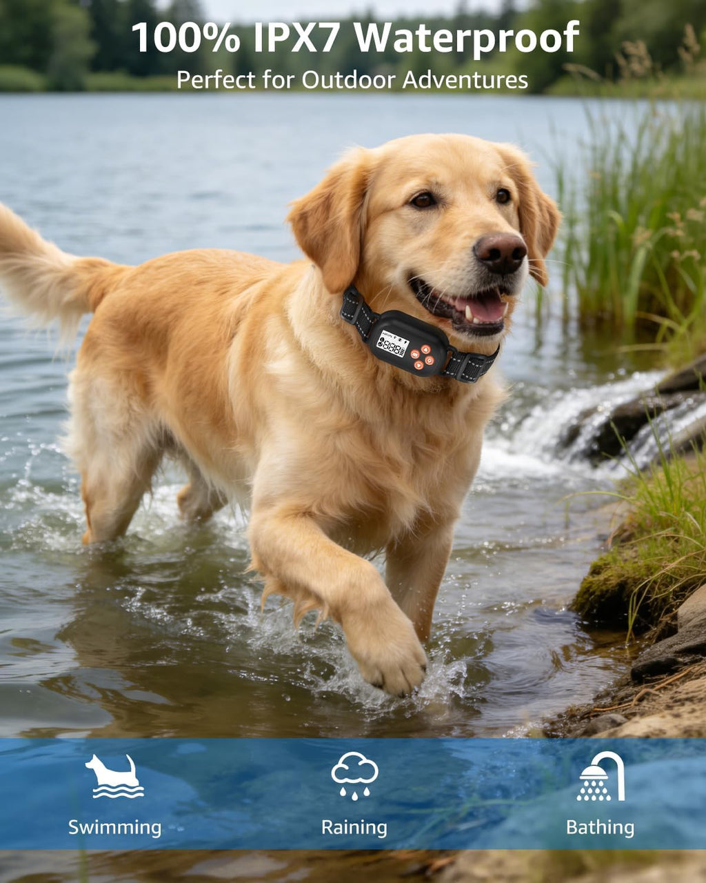 GPS Wireless Dog Fence with No Subscription