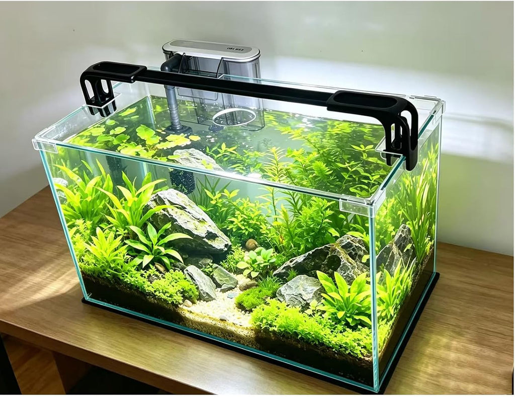 10 Gallon Glass Fish Tank, Easy to Maintain Small Aquarium for Betta/Shrimp and Aquatic Planting.