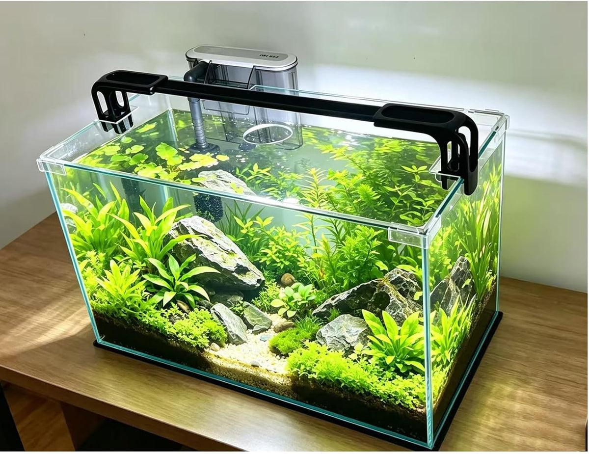 10 Gallon Glass Fish Tank, Easy to Maintain Small Aquarium for Betta/Shrimp and Aquatic Planting.