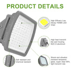 100W Explosion Proof LED Flood Light, Class I Division 2, UL Listed, 5000K